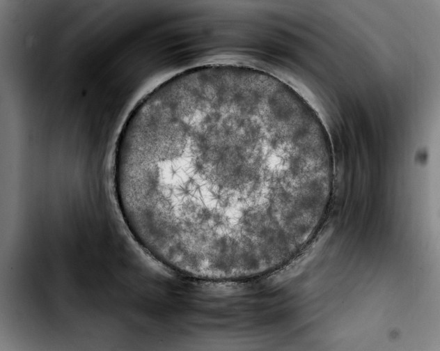 X0000103431045200810241054