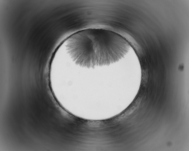 X0000103431046200810241054