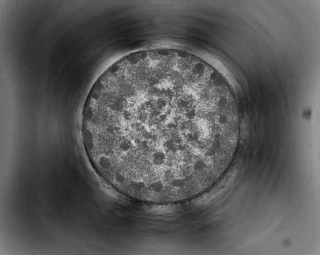 X0000103431047200810241054