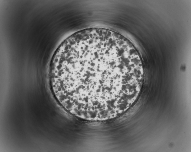X0000103431048200810241054