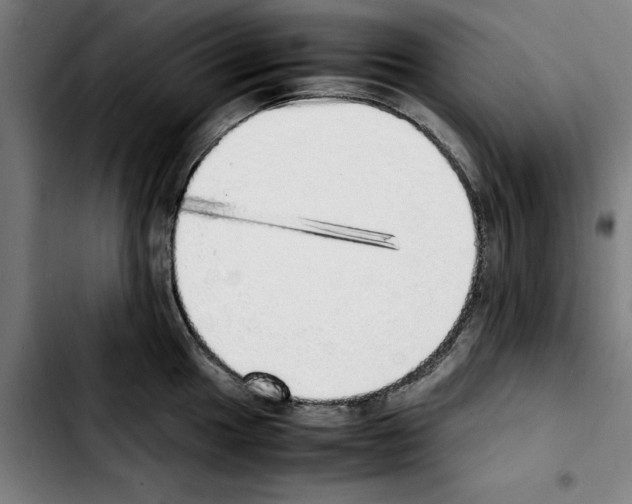 X0000103431049200810241054