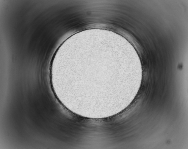 X0000103431050200810241054