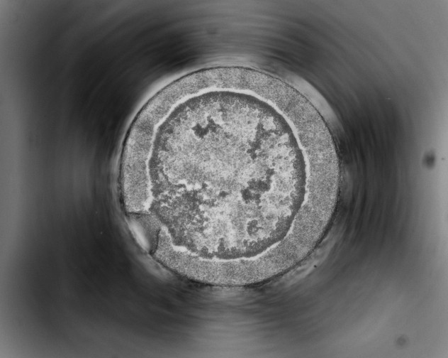 X0000103431052200810241054