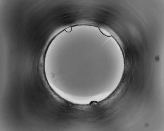 X0000103431053200810241054