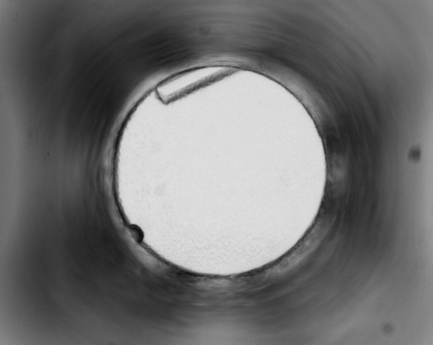 X0000103431054200810241054
