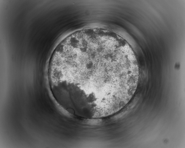 X0000103431055200810241054