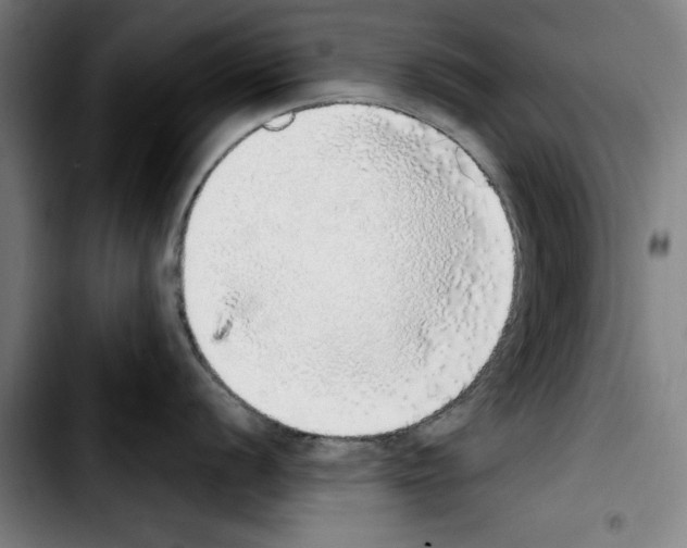 X0000103431056200810241054