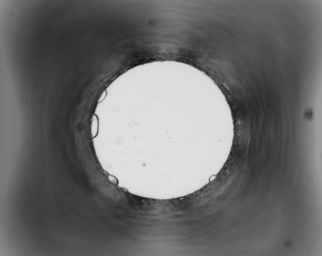 X0000103431057200810241053