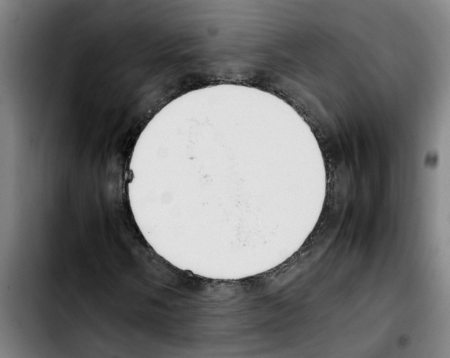 X0000103431058200810241053