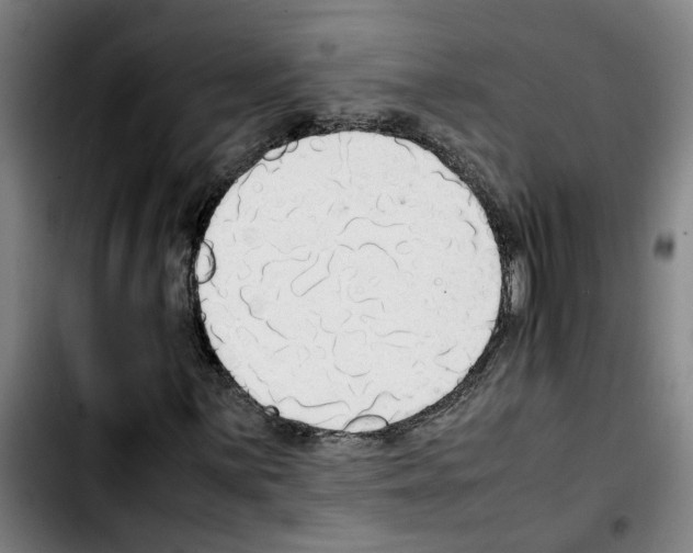 X0000103431059200810241053