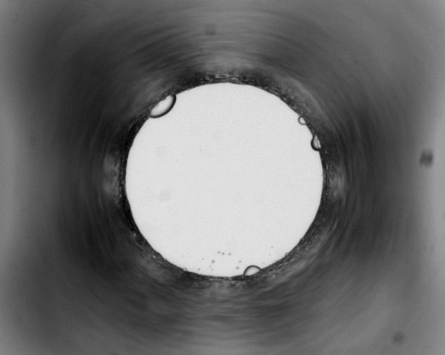 X0000103431060200810241053