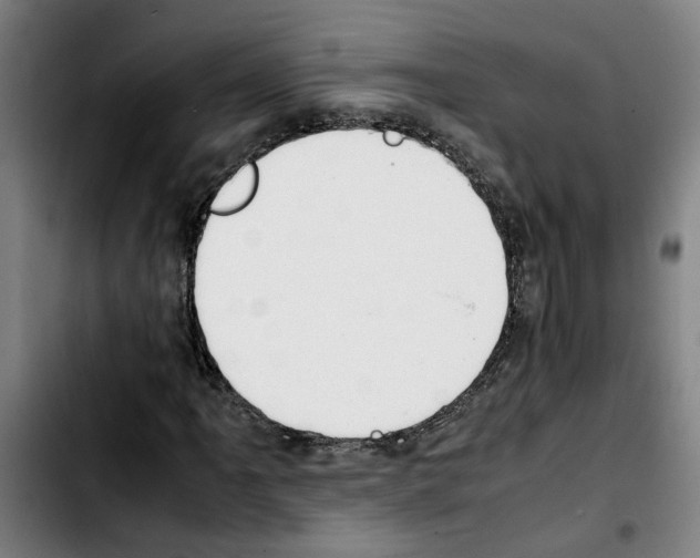 X0000103431061200810241053