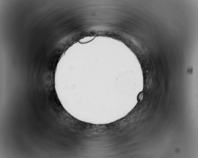 X0000103431062200810241053