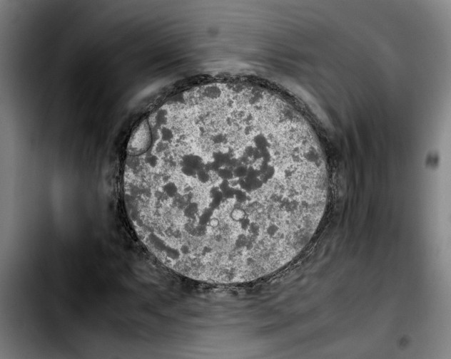 X0000103431063200810241053