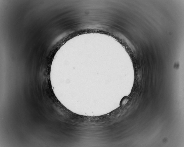 X0000103431064200810241053