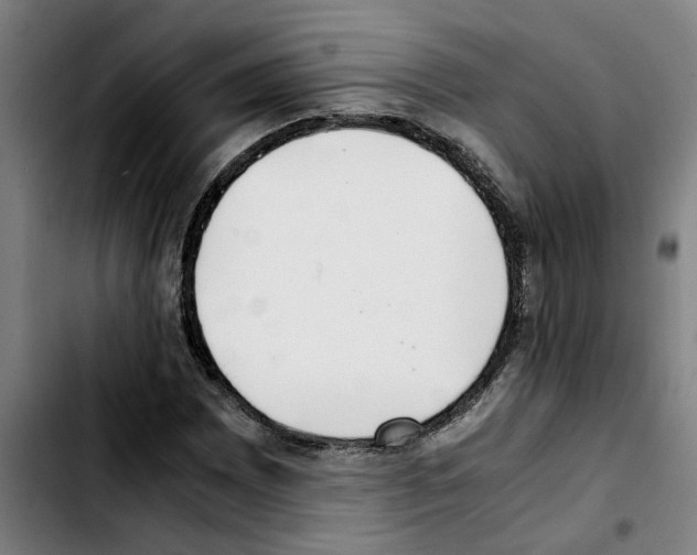 X0000103431065200810241053