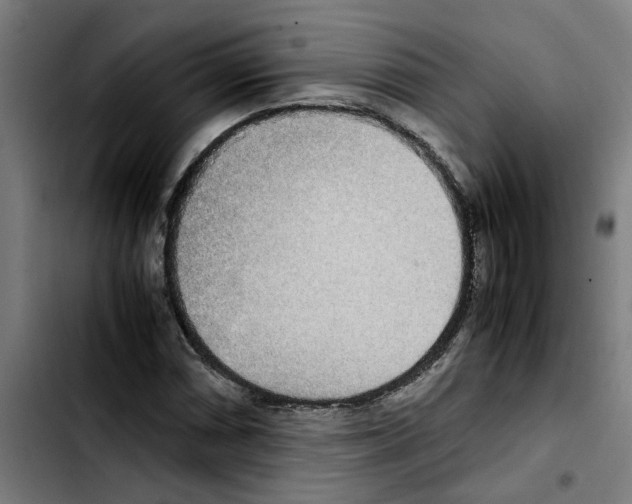 X0000103431066200810241053