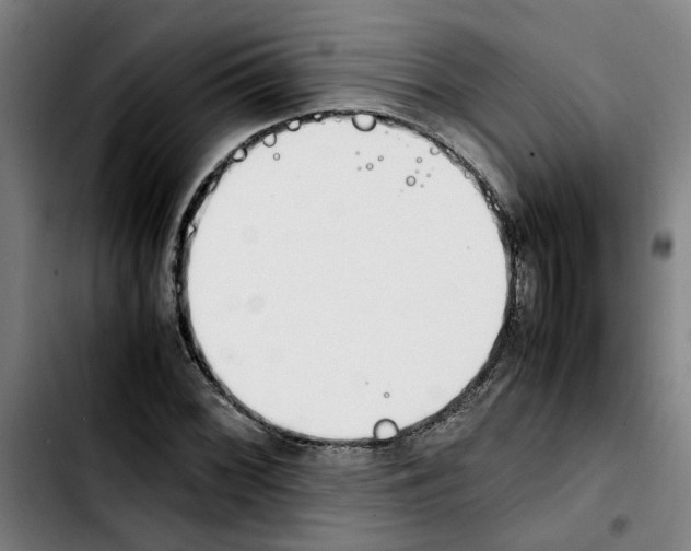 X0000103431068200810241053