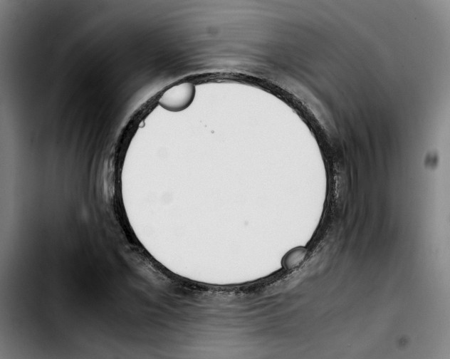 X0000103431069200810241053