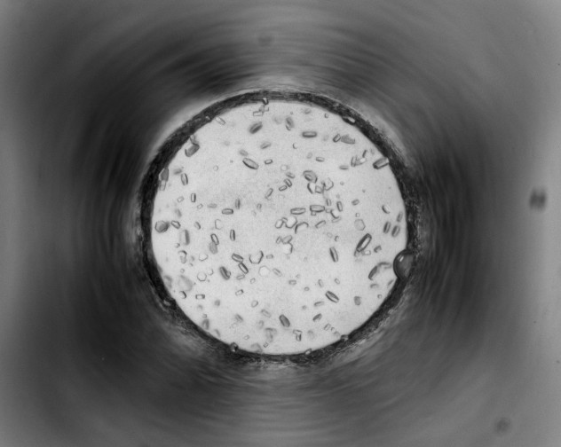 X0000103431070200810241053