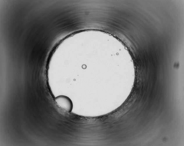 X0000103431072200810241053