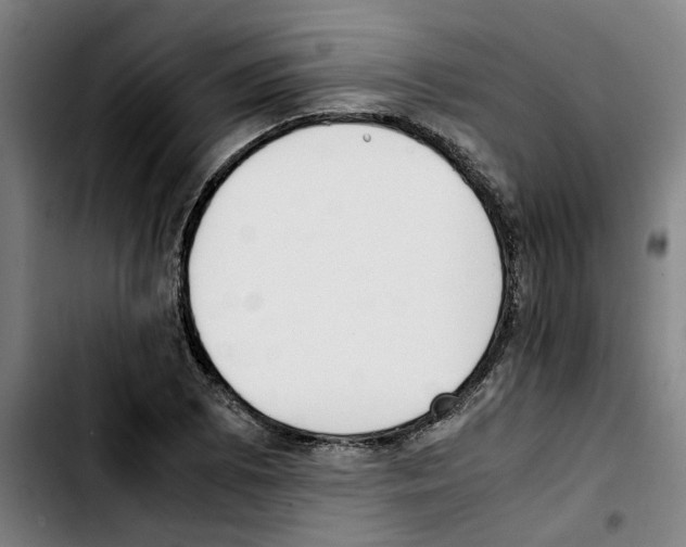 X0000103431073200810241053