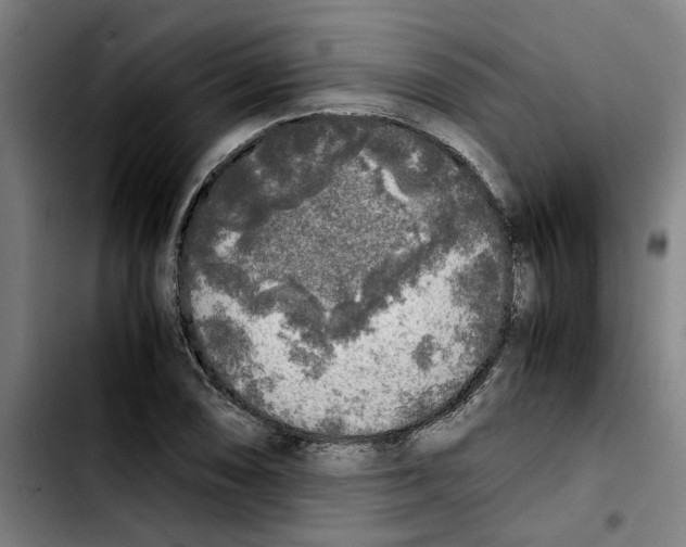 X0000103431074200810241053