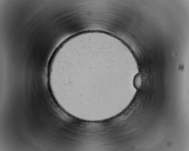 X0000103431076200810241053