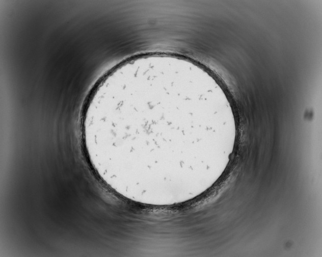 X0000103431077200810241053
