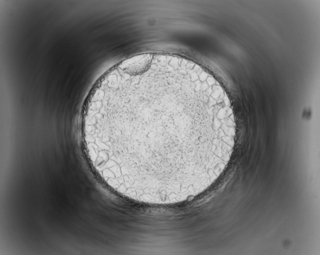 X0000103431079200810241053