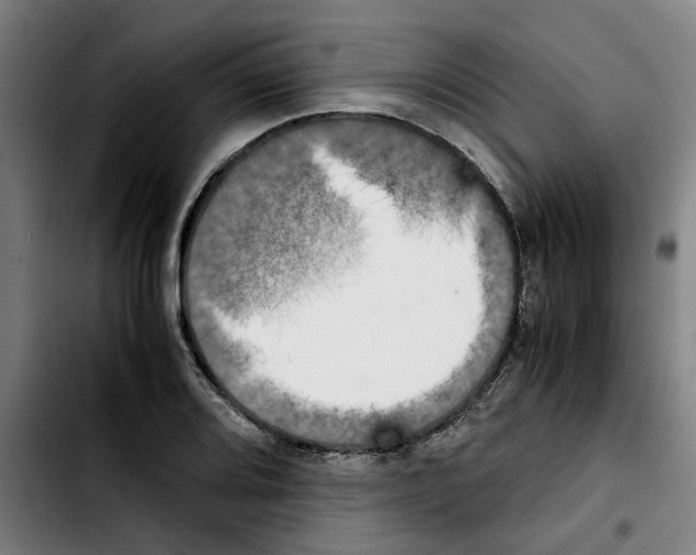 X0000103431080200810241053