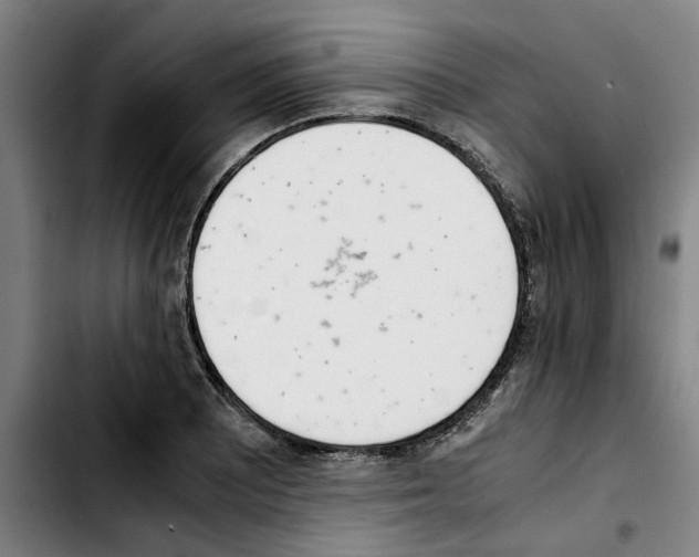 X0000103431081200810241053