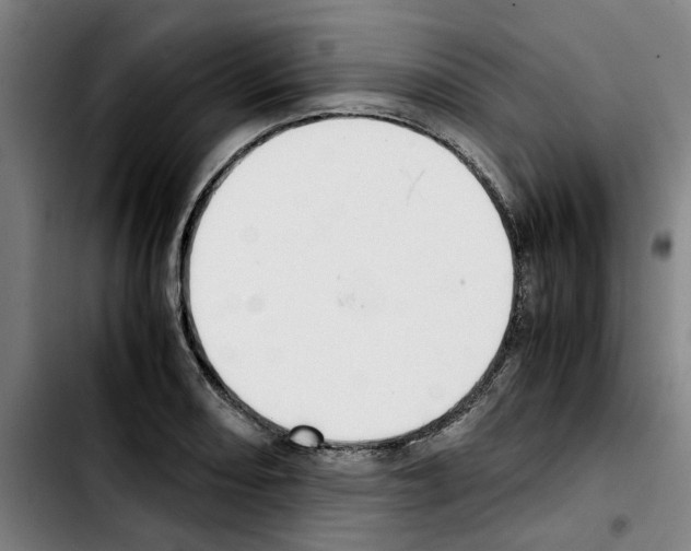X0000103431082200810241053