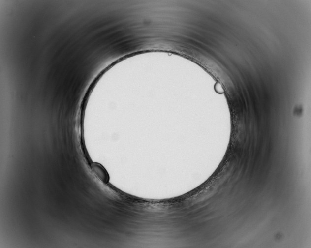 X0000103431084200810241053