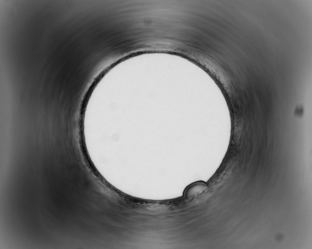 X0000103431085200810241053