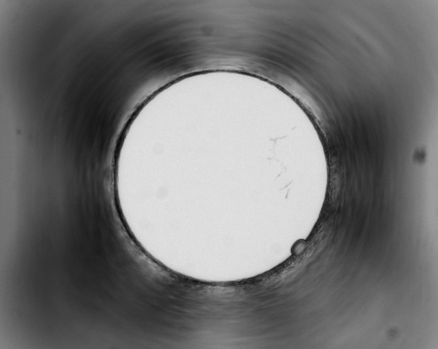 X0000103431088200810241053