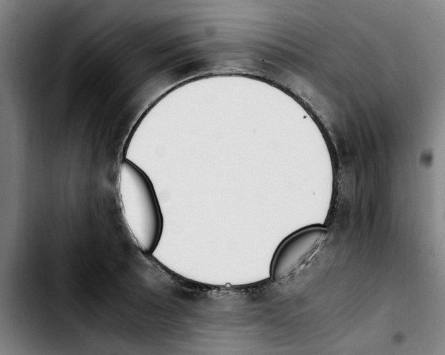 X0000103431089200810241052