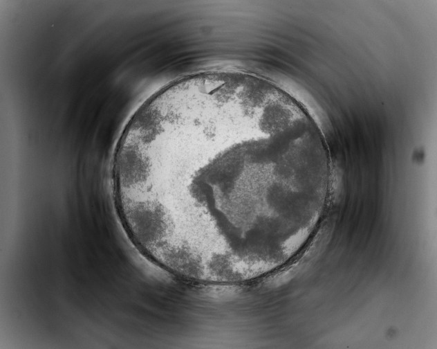 X0000103431090200810241052