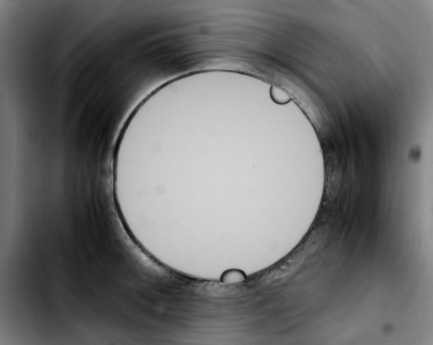 X0000103431092200810241052