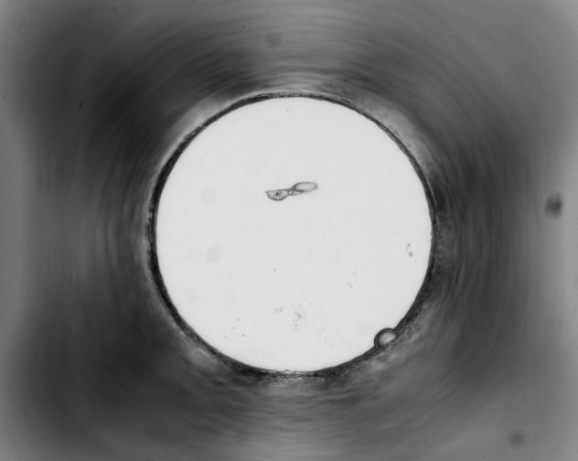 X0000103431093200810241052