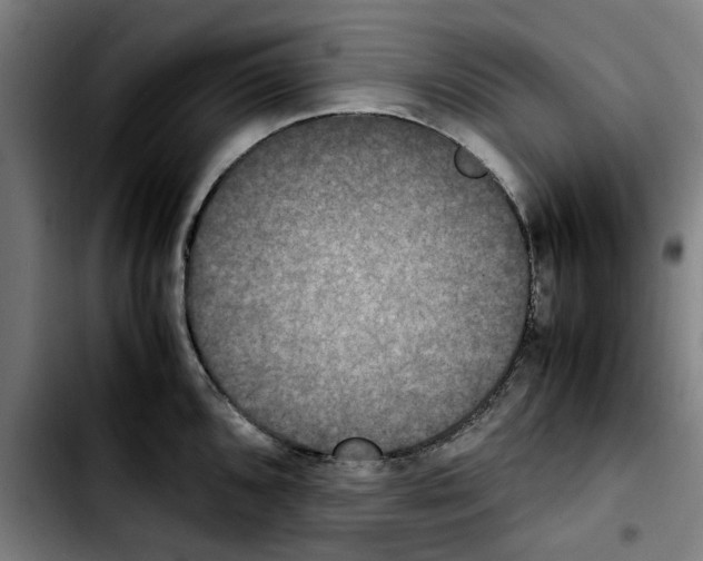 X0000103431096200810241052