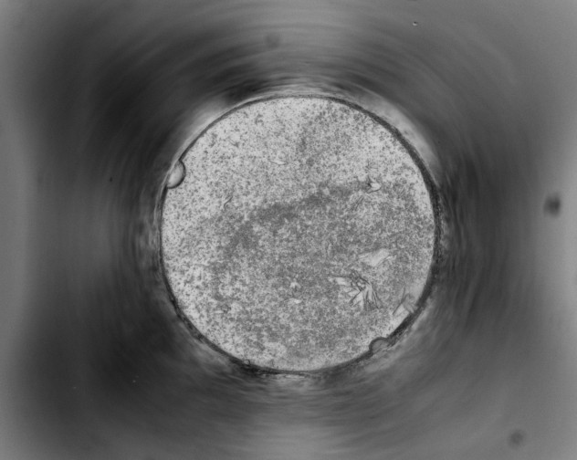 X0000103431097200810241052