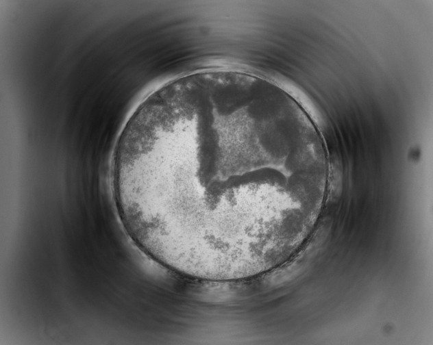 X0000103431098200810241052