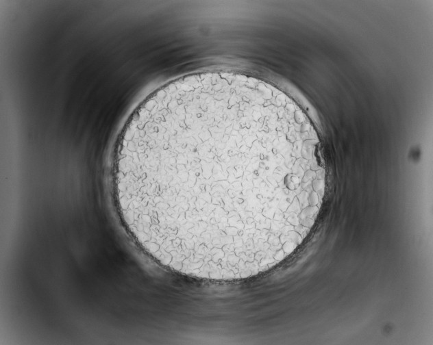 X0000103431099200810241052