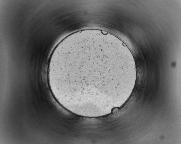 X0000103431100200810241052