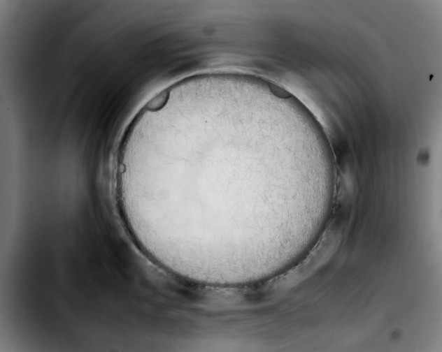 X0000103431101200810241052