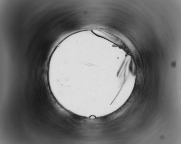 X0000103431102200810241052