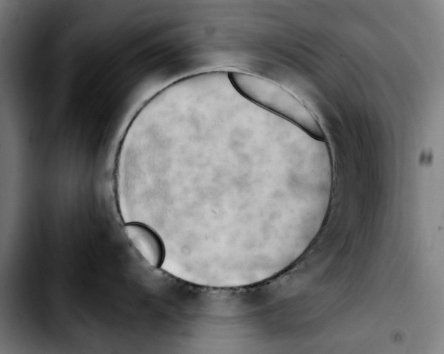 X0000103431104200810241052