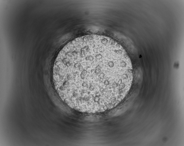X0000103431105200810241052