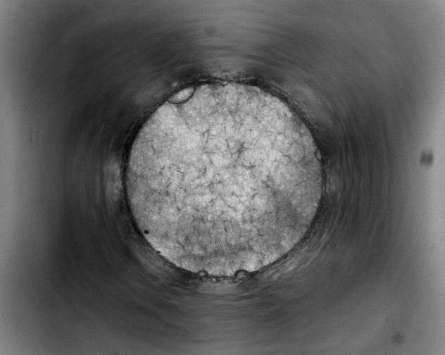 X0000103431106200810241052